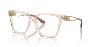 Dolce & Gabbana DG3376B 3432