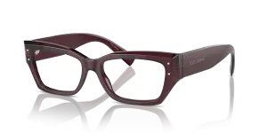 Dolce & Gabbana DG3387 3045