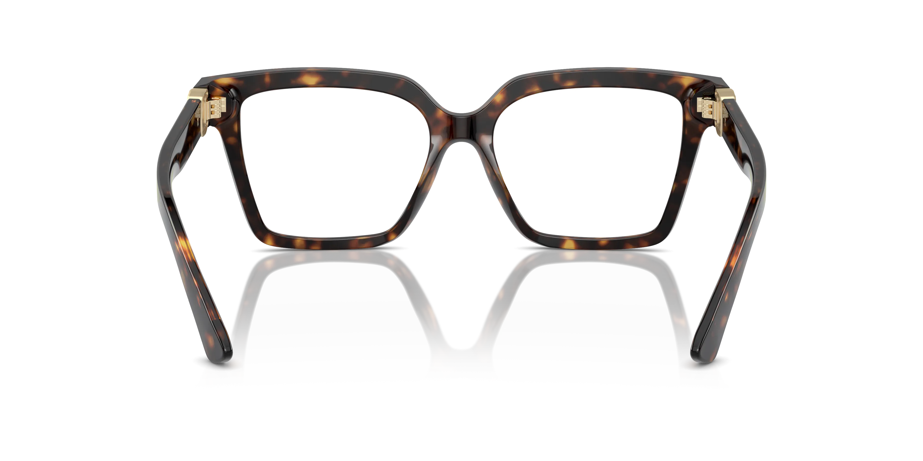 Dolce & Gabbana DG3395 502