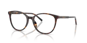 Dolce & Gabbana DG3425 502