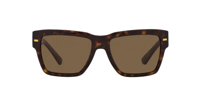 Dolce & Gabbana DG4431 502/73