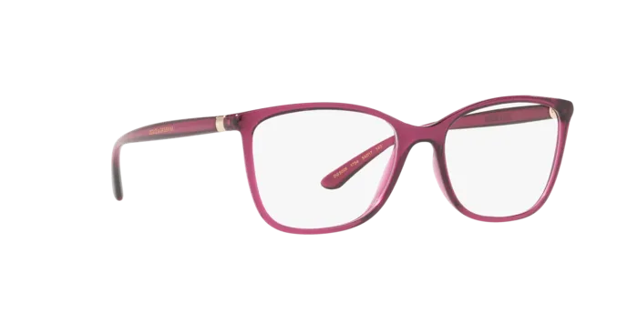 Dolce & Gabbana DG5026 1754