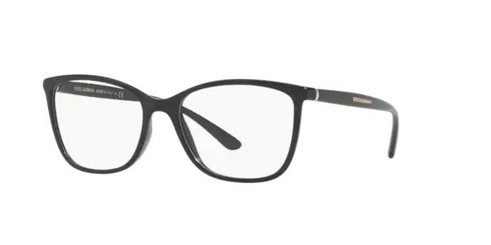 Dolce & Gabbana DG5026 501