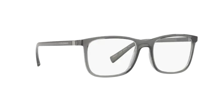 Dolce & Gabbana DG5027 3160