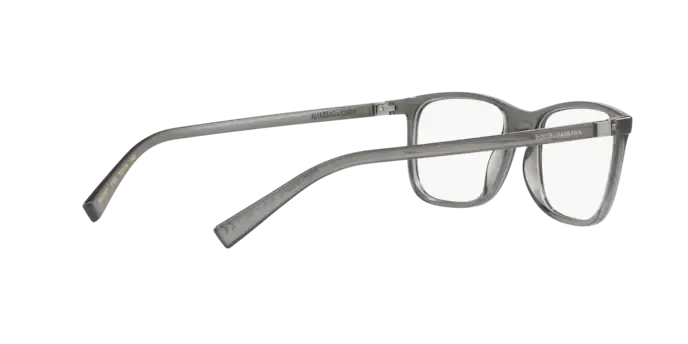 Dolce & Gabbana DG5027 3160