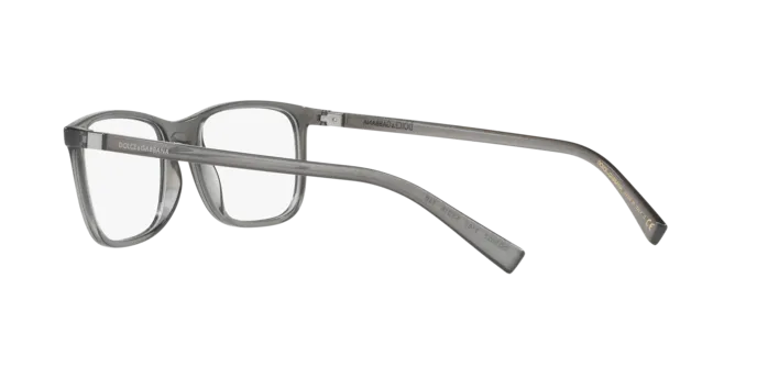 Dolce & Gabbana DG5027 3160
