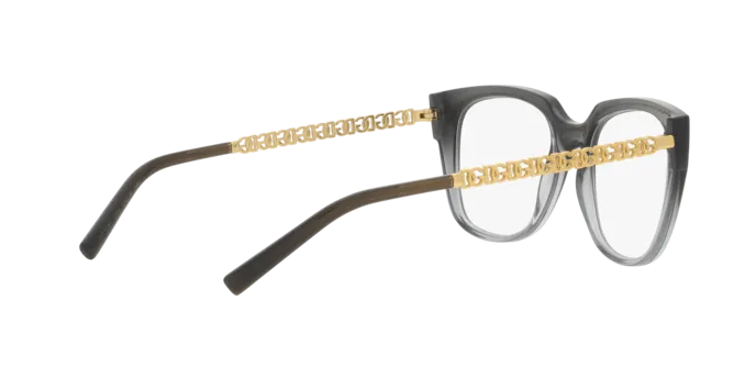 Dolce & Gabbana DG5087 3385