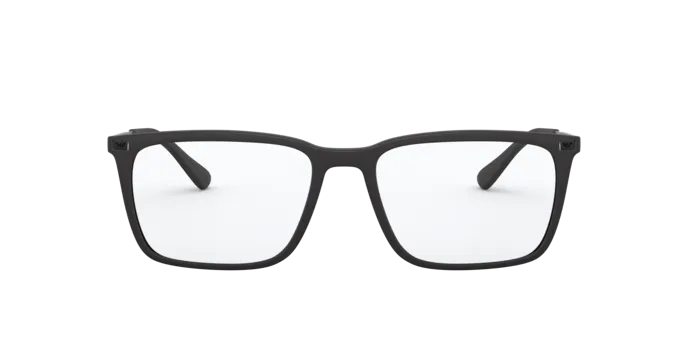 Emporio Armani EA3169 5042