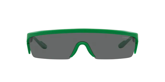 Emporio Armani EA4204U 601187