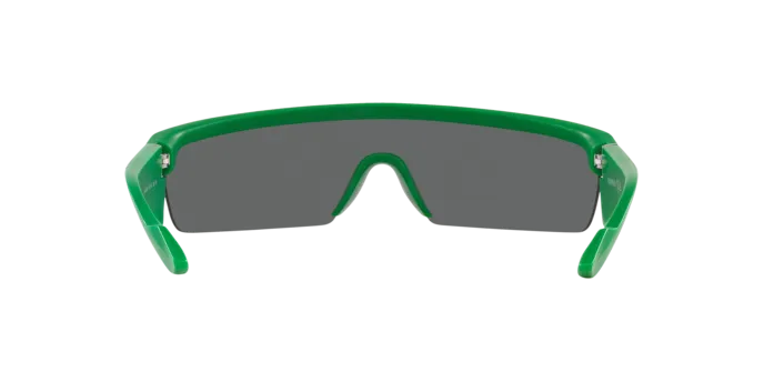 Emporio Armani EA4204U 601187