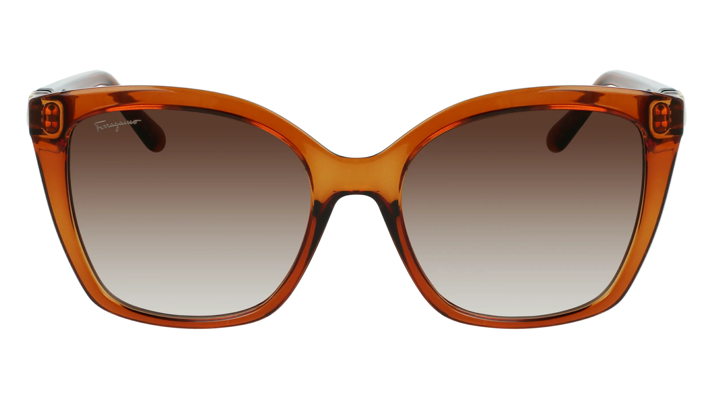 Ferragamo SF1026S 261