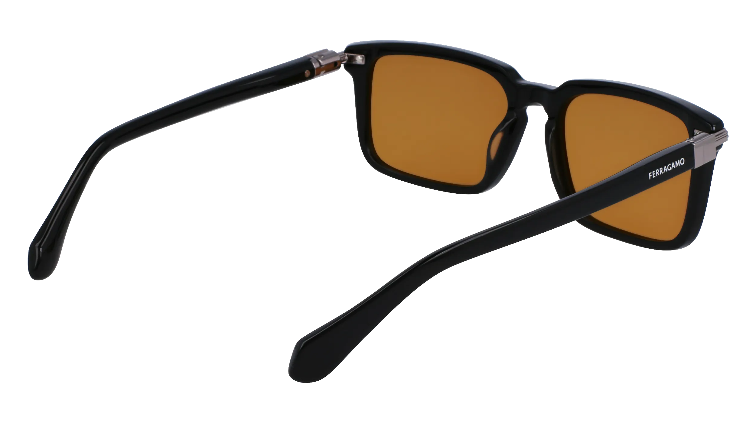 Ferragamo SF1110S 9