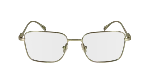 Ferragamo SF2231 710