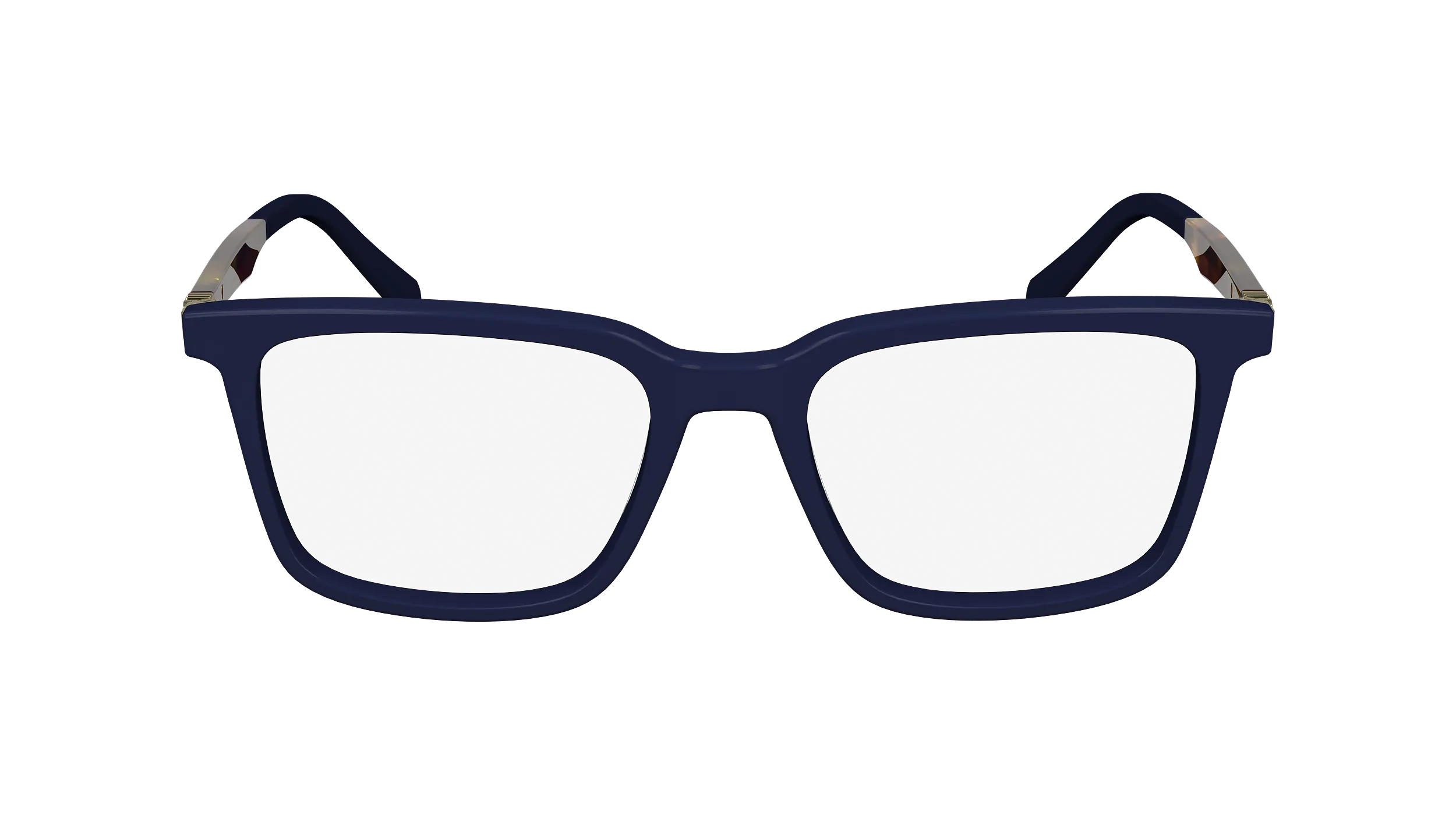 Ferragamo SF2969 414