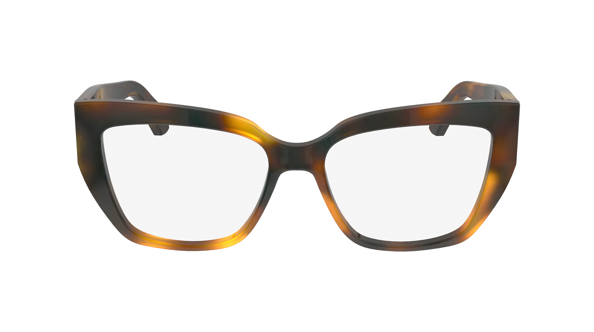 Ferragamo SF2972 240