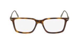 Ferragamo SF2977 240