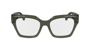 Ferragamo SF2983 320