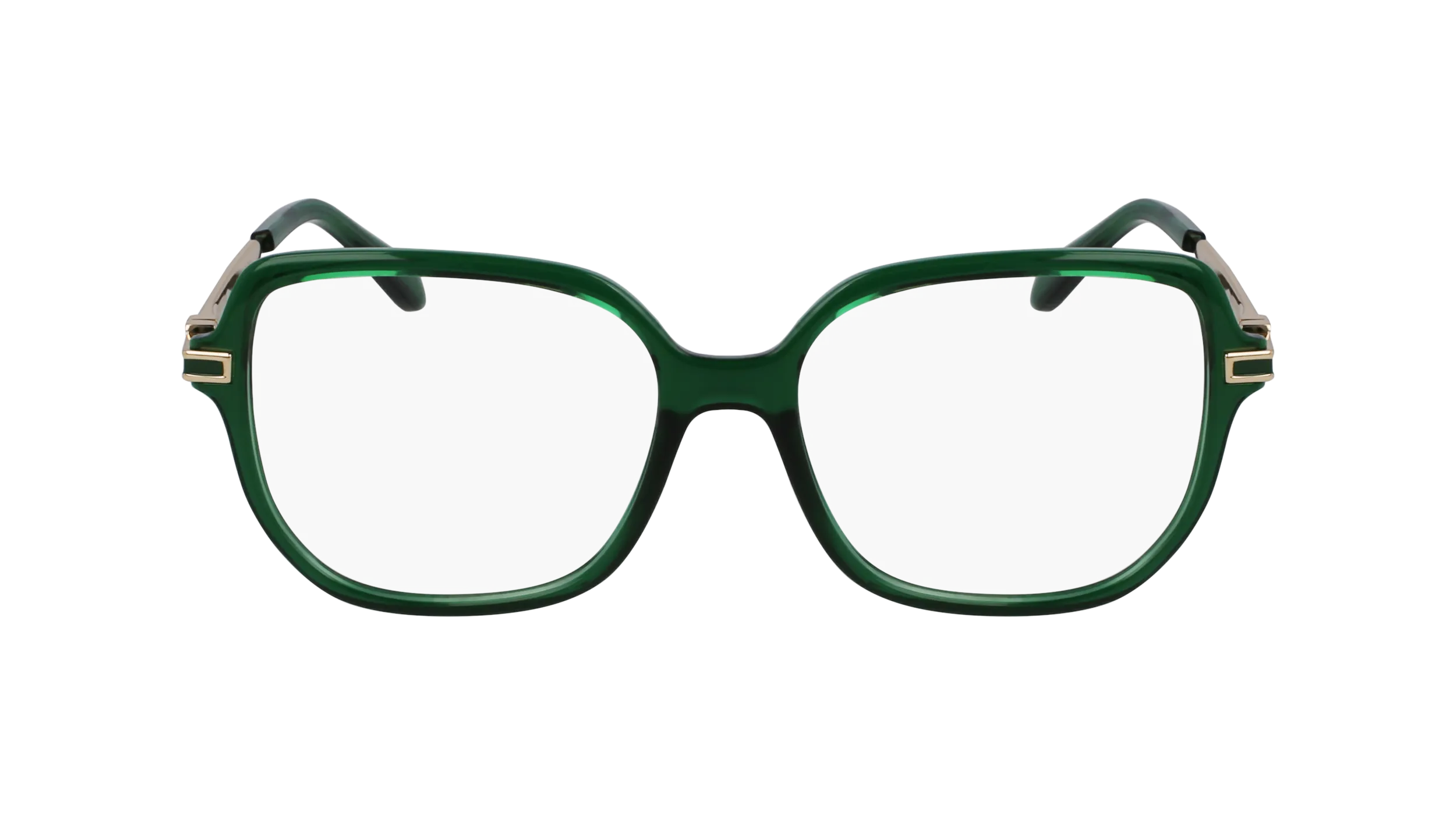 Ferragamo SF3012 317