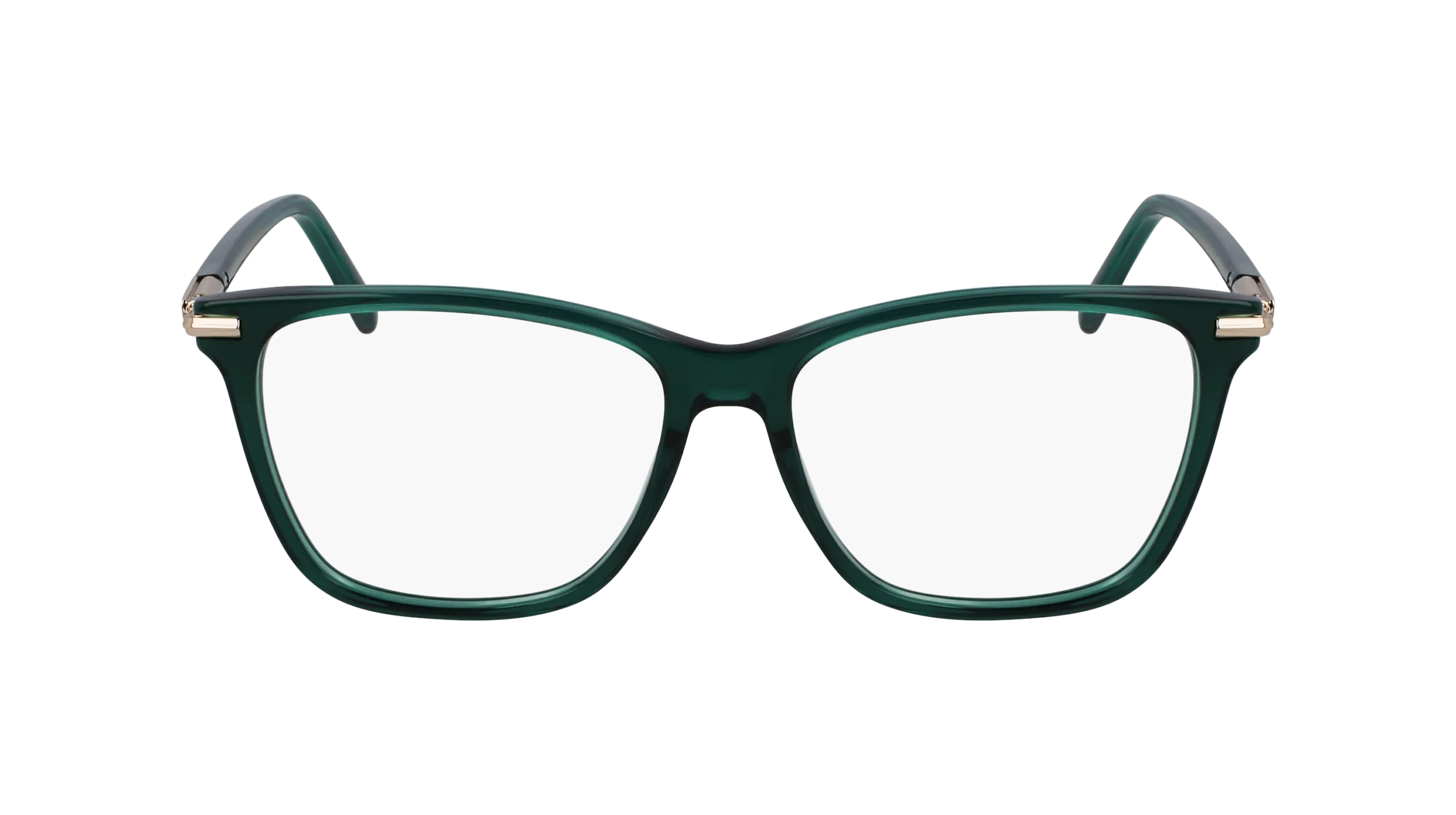 Ferragamo SF3013 317