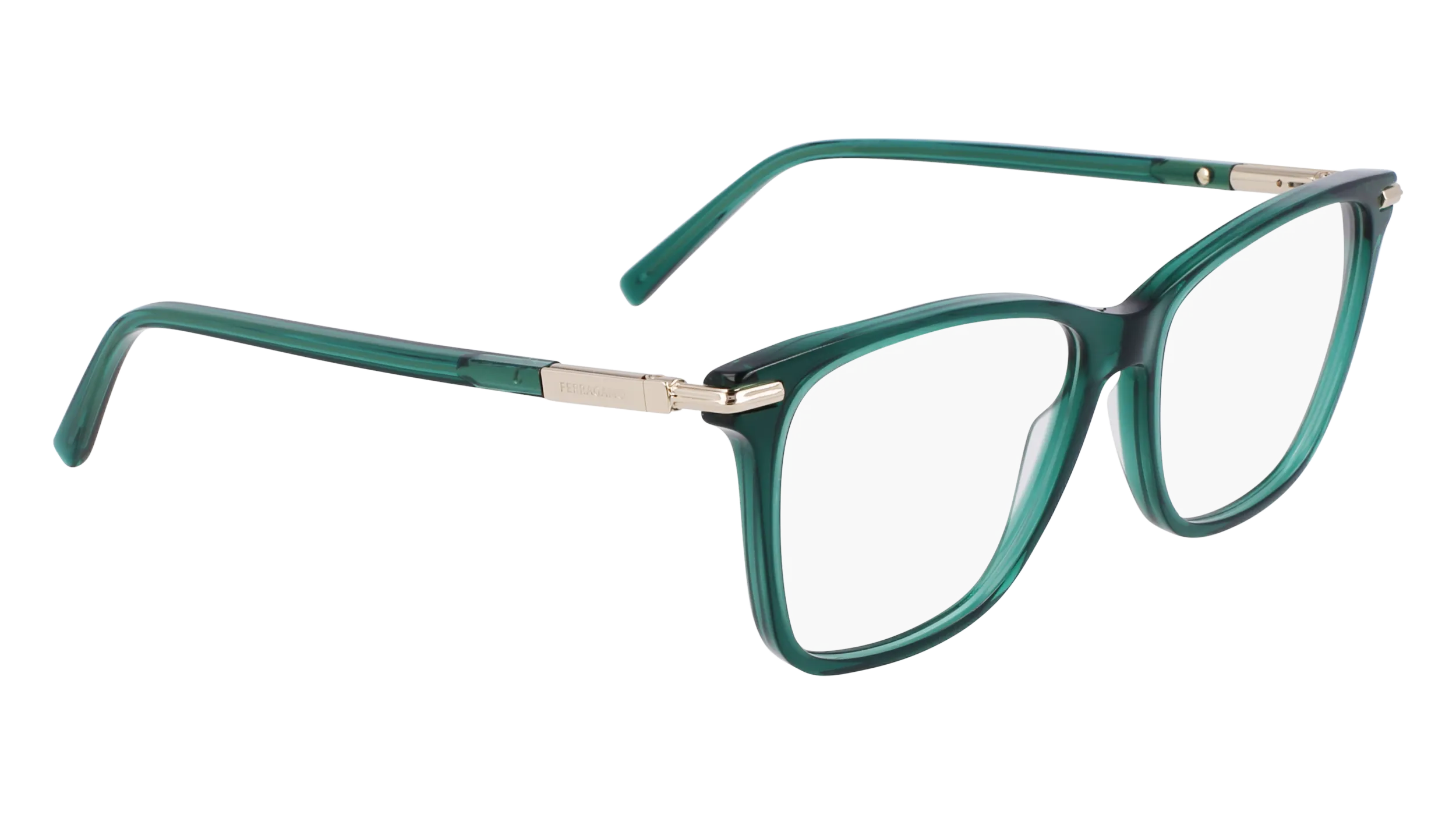 Ferragamo SF3013 317