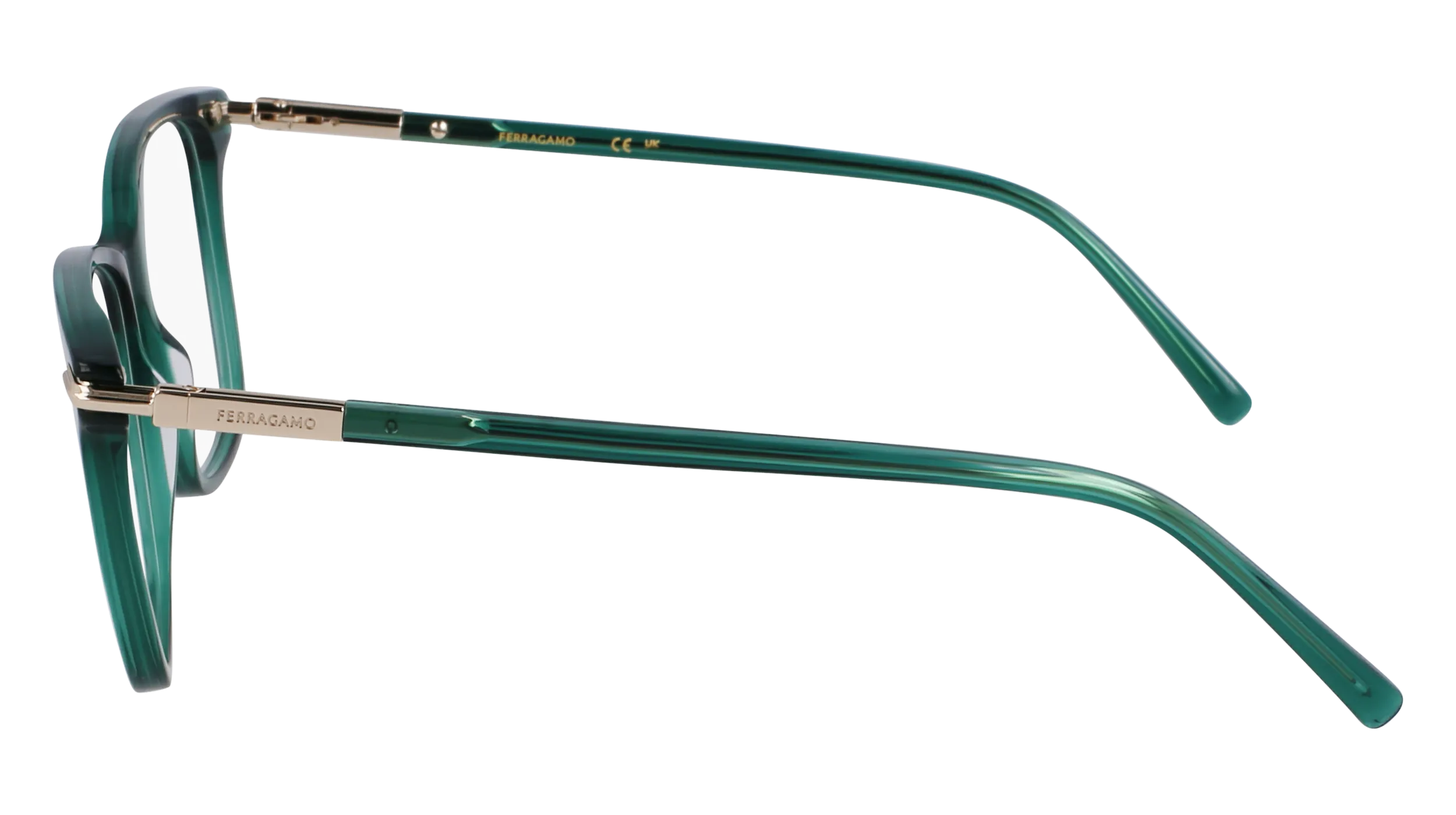 Ferragamo SF3013 317