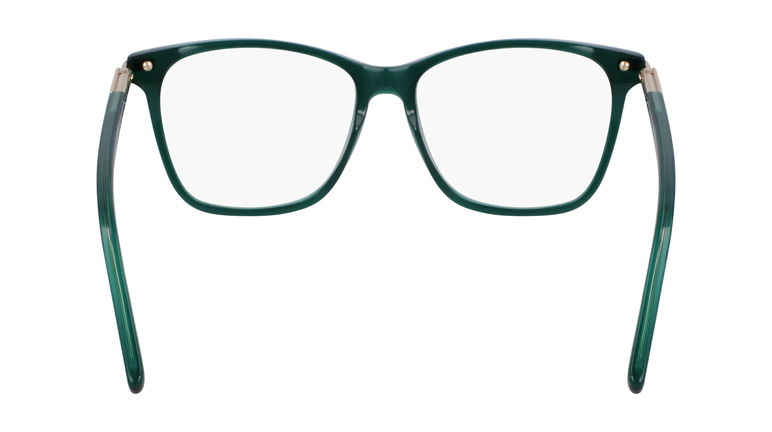 Ferragamo SF3013 317