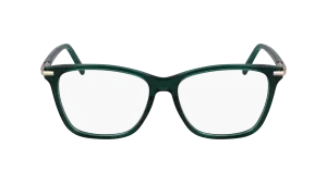 Ferragamo SF3013 317
