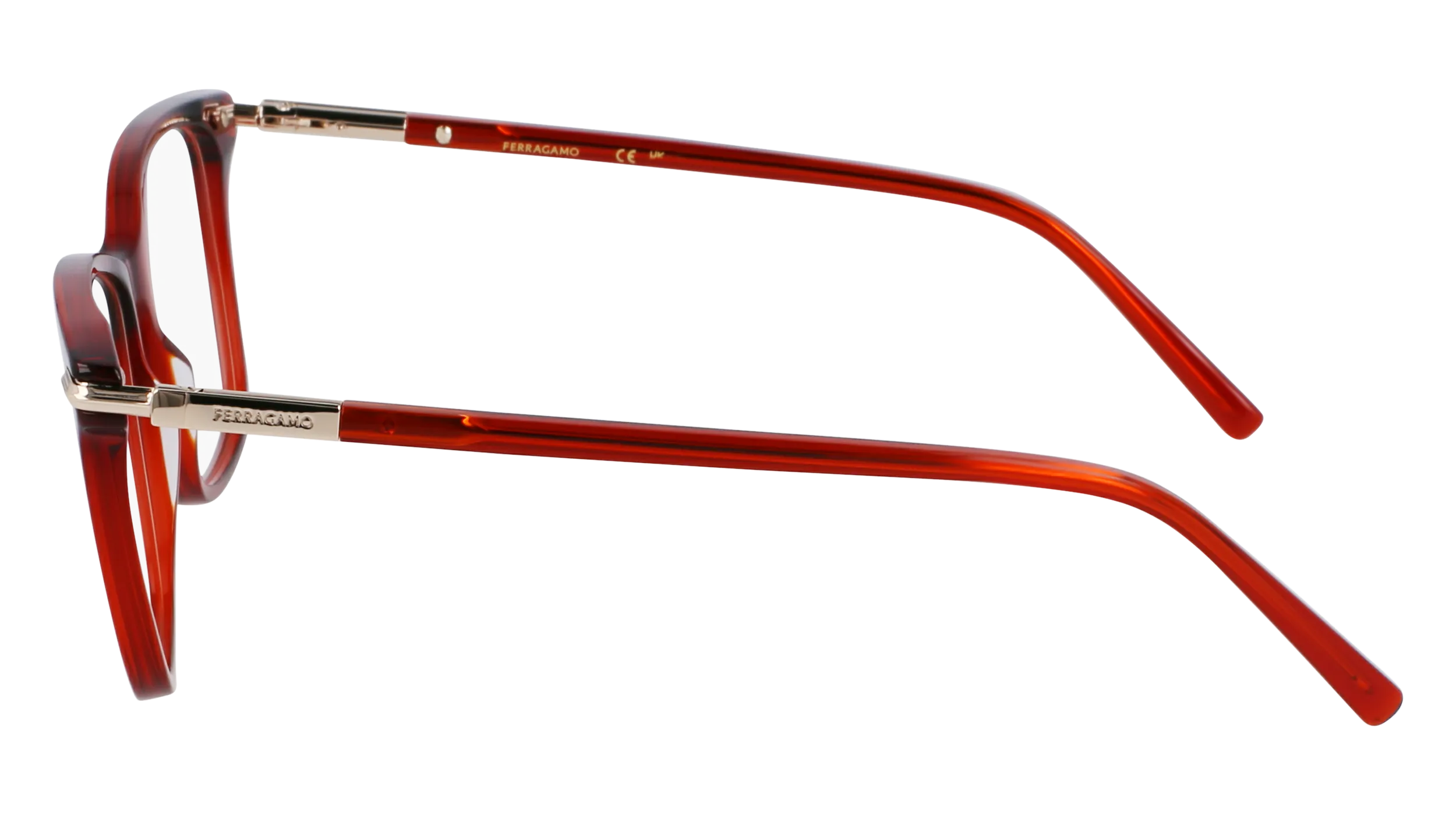 Ferragamo SF3013 616
