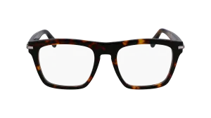Ferragamo SF3015 242