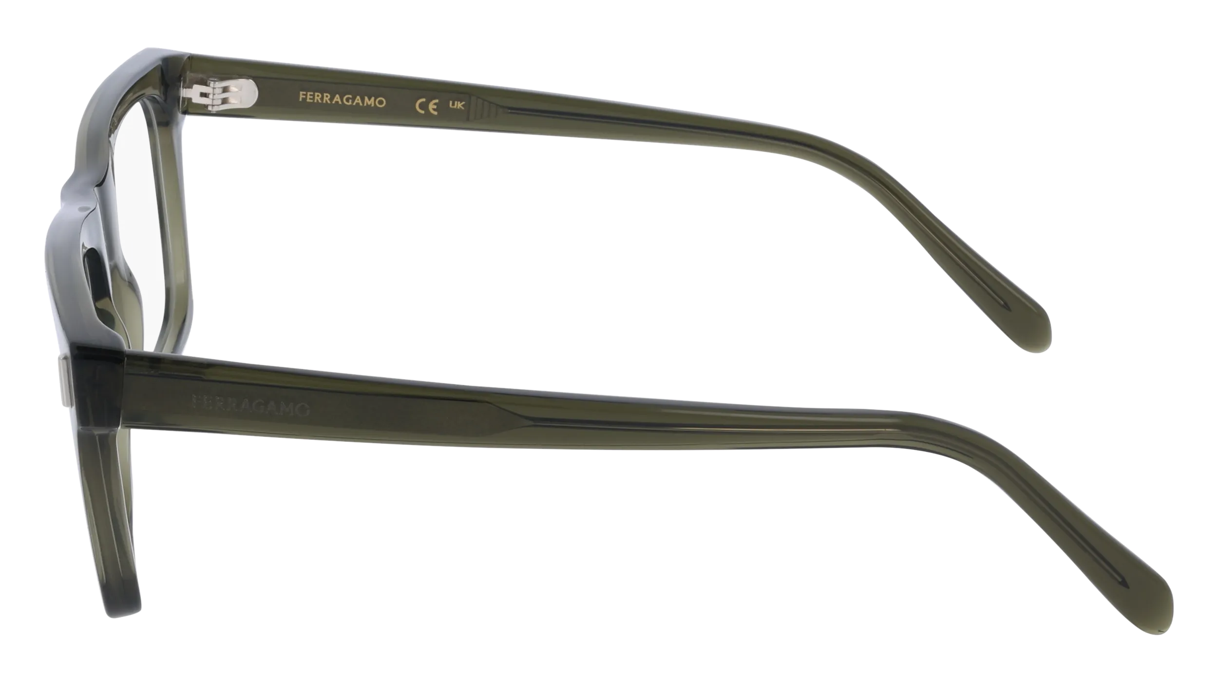 Ferragamo SF3029 320