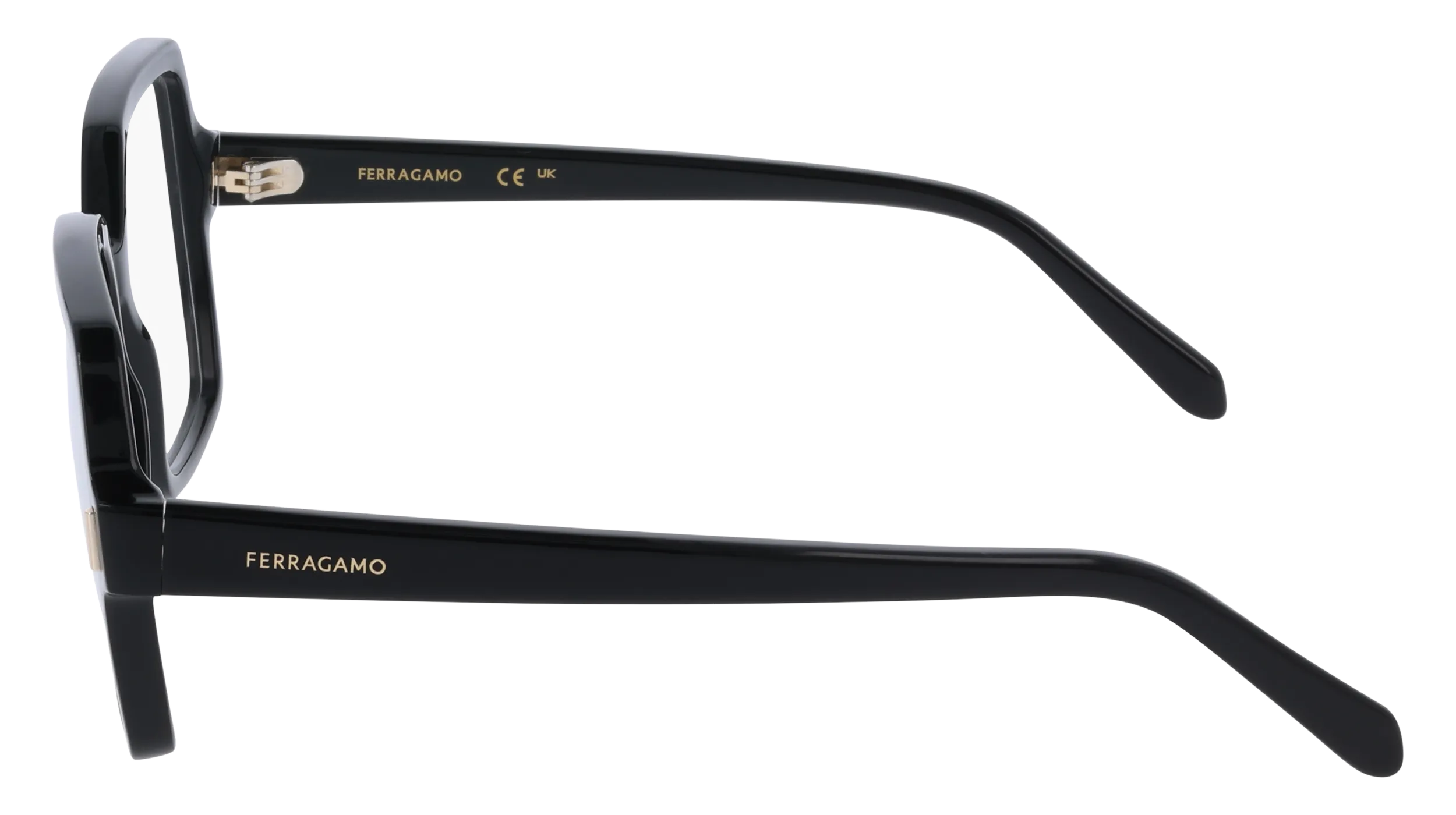 Ferragamo SF3031 1