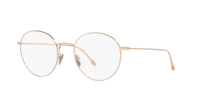 Giorgio Armani AR5095 3011