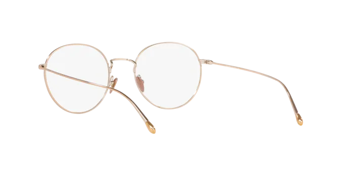 Giorgio Armani AR5095 3011