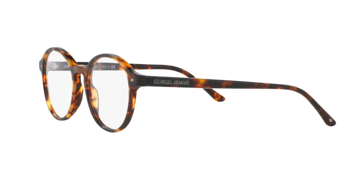 Giorgio Armani AR7004 5011