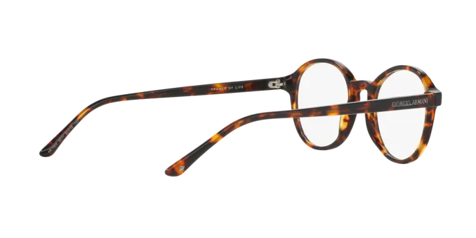 Giorgio Armani AR7004 5011