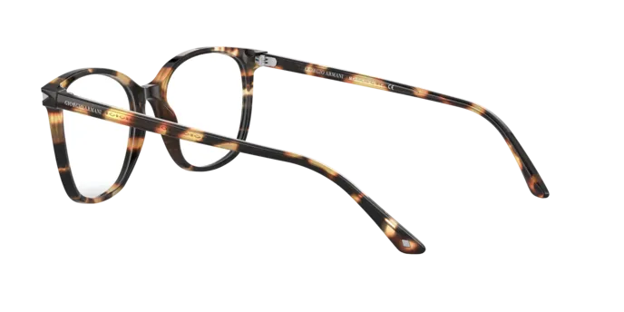 Giorgio Armani AR7192 5847