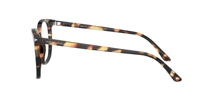 Giorgio Armani AR7192 5847
