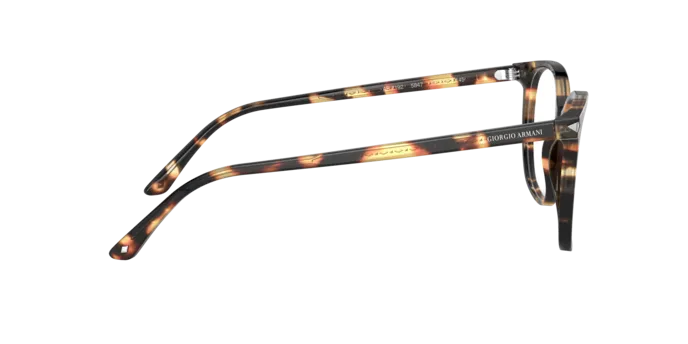 Giorgio Armani AR7192 5847
