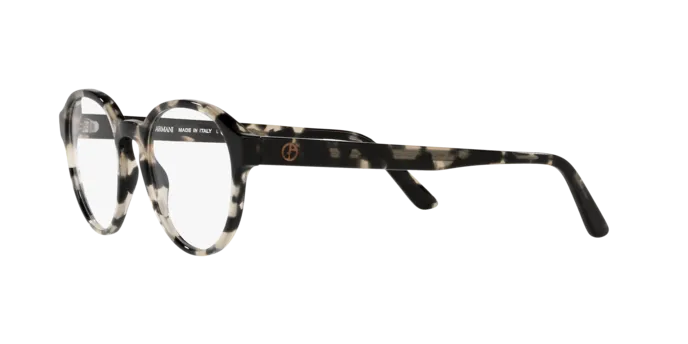 Giorgio Armani AR7207 5873