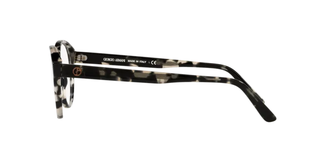 Giorgio Armani AR7207 5873