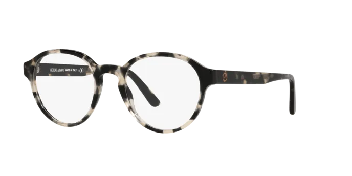 Giorgio Armani AR7207 5873