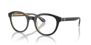 Giorgio Armani AR7256 6084