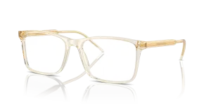 Giorgio Armani AR7258 6077