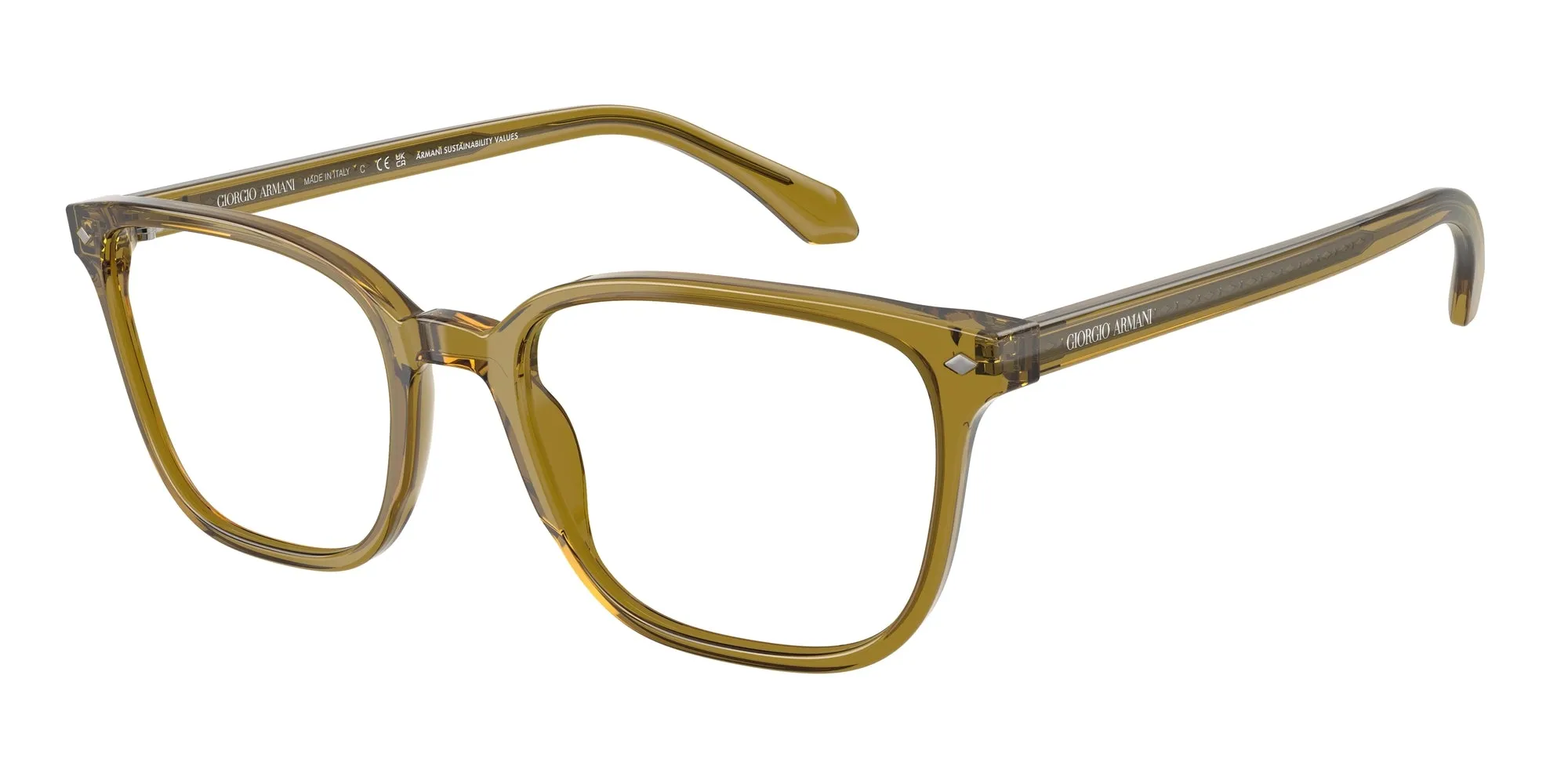 Giorgio Armani AR7265 6172