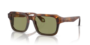 Giorgio Armani AR8194U 598814