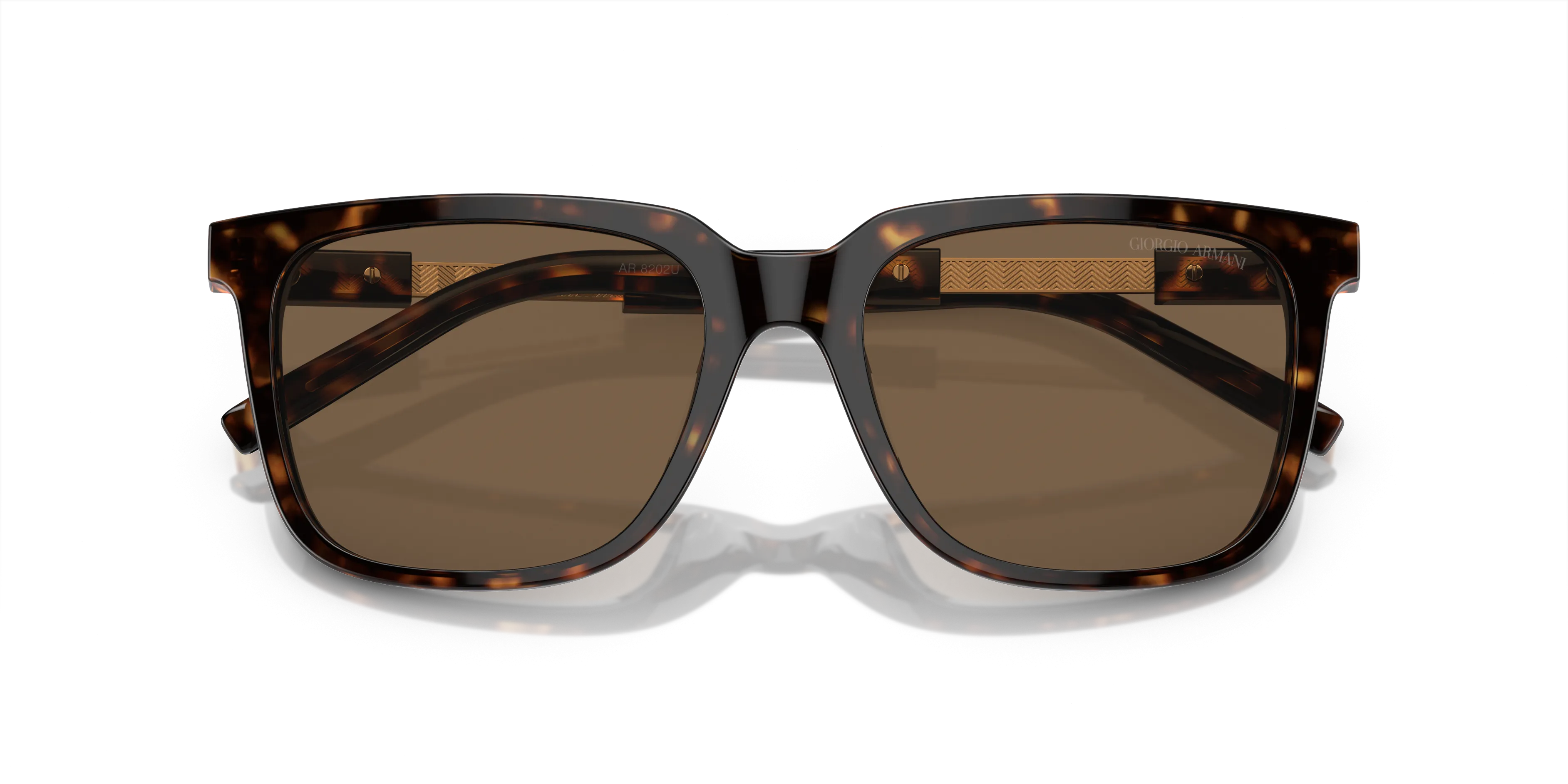 Giorgio Armani AR8202U 587973