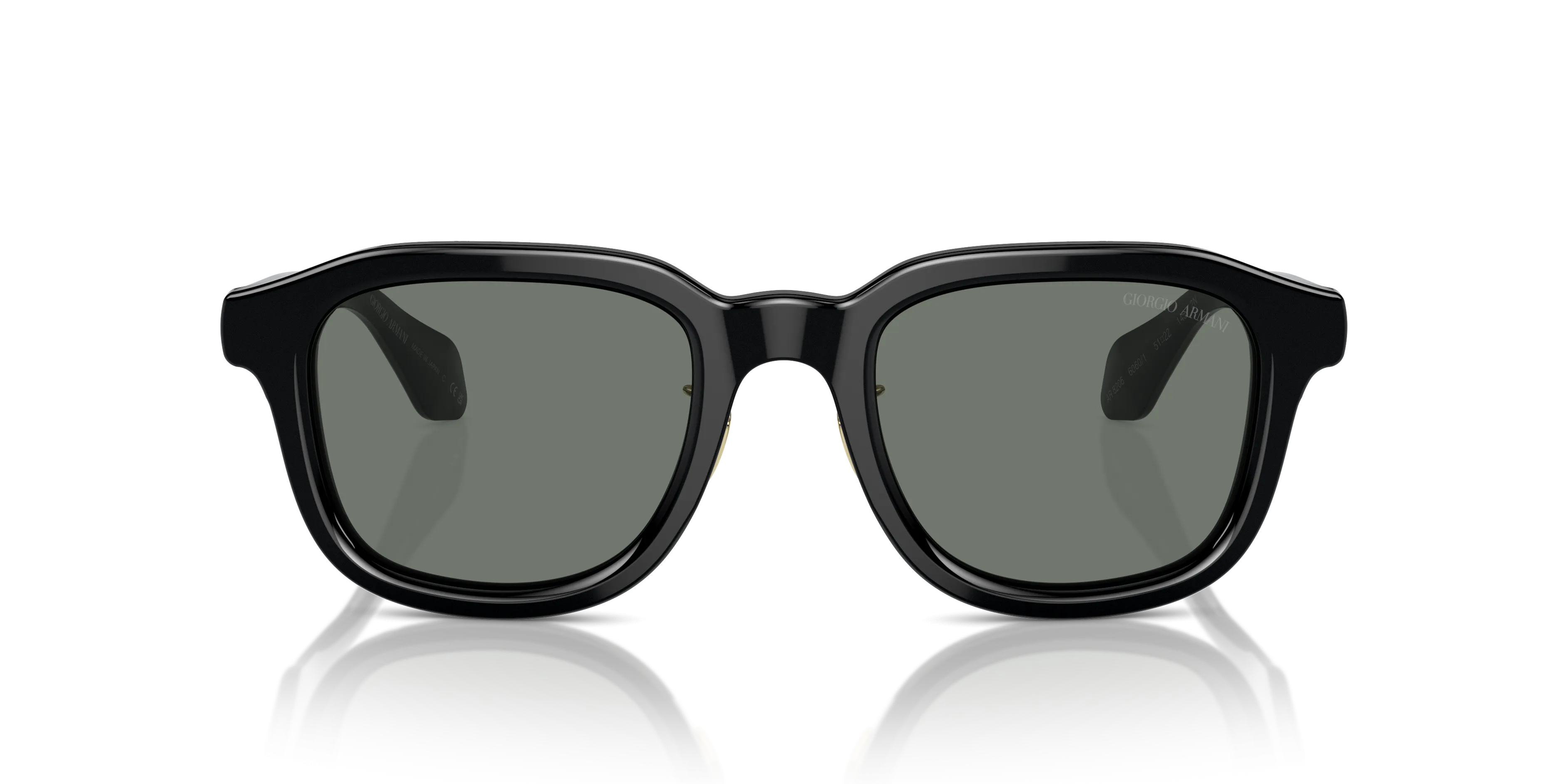 Giorgio Armani AR8206 6060/1