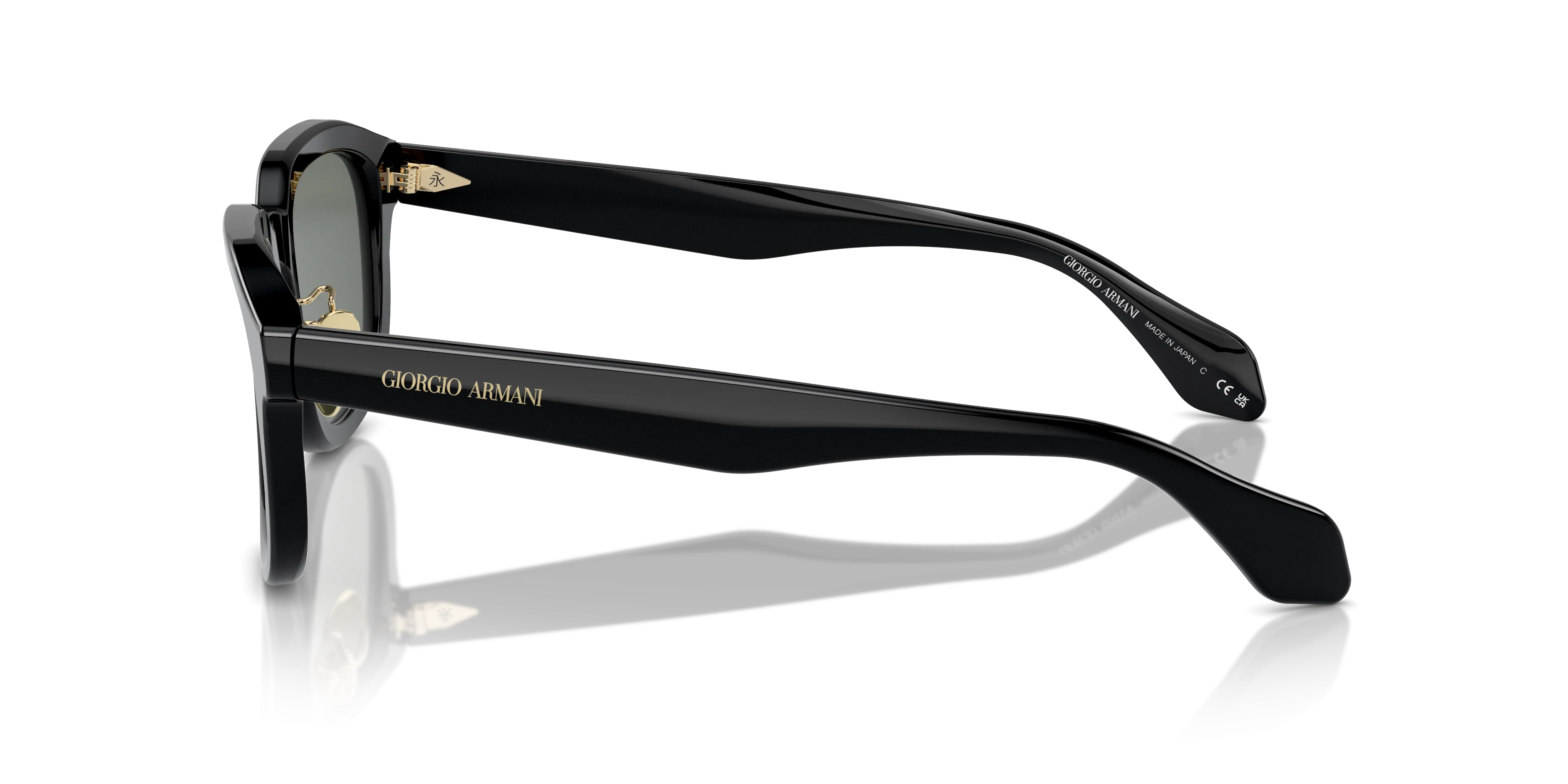 Giorgio Armani AR8206 6060/1