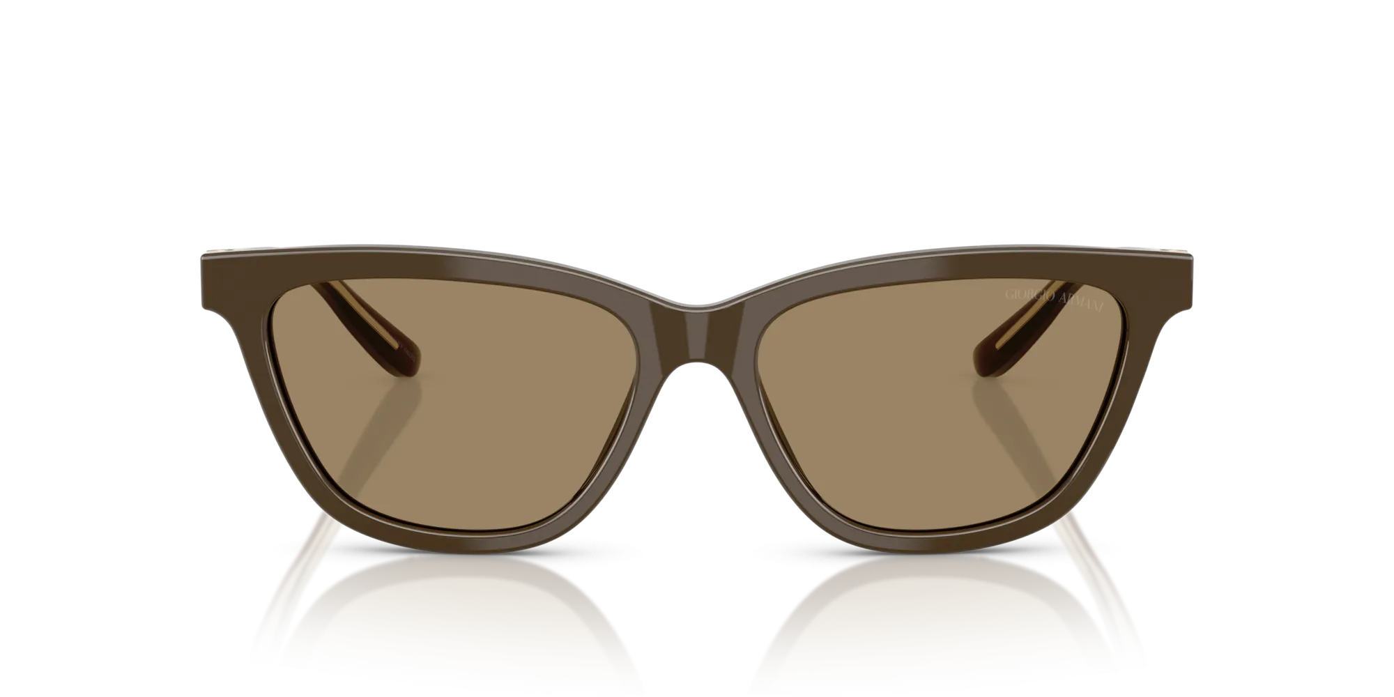 Giorgio Armani AR8221 595753