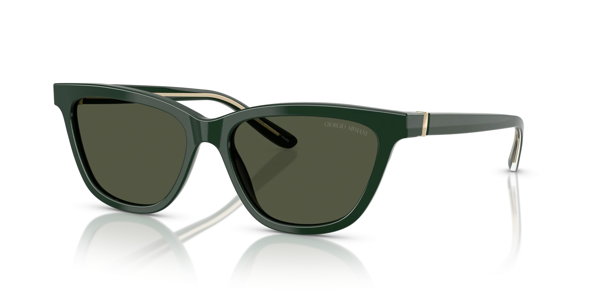 Giorgio Armani AR8221 617331